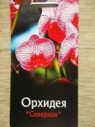 Орхидея.
