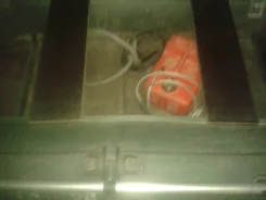 �������. 2004 ���, ��������� ���������, 5,00��.�., ������ ����
