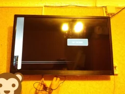 Mystery. LCD (��)