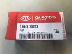 Лампа ксеноновая. Hyundai Veloster Hyundai Elantra Hyundai Avante Hyundai Ioniq Kia Cerato Kia Niro Kia K3 Kia Forte