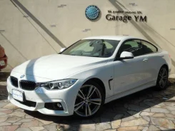 BMW 4-Series. �������, ��������, 2.0, ������, 15 000����. ��, �/�. ��� �����