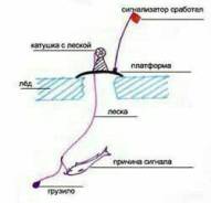 Жерлицы.