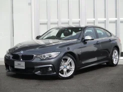 BMW 4-Series. �������, ��������, 2.0, ������, 7 000����. ��, �/�. ��� ����� �� ���������� ����