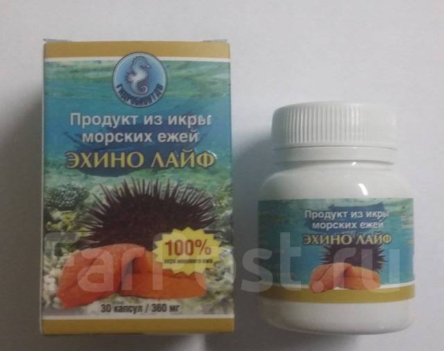 Еж бад. Вытяжка из морского ежа. Икра морского ежа. БАД на основе морских ежей.