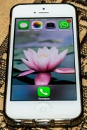 Apple iPhone 5. �/�
