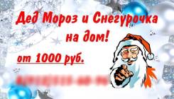 Дед мороз и снегурочка на дом