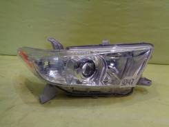 Фара. Toyota Highlander, ASU40, GSU40, GSU40L, GSU45, GVU48, MHU48 Двигатели: 1ARFE, 2GRFE, 2GRFXE, 3MZFE. Под заказ