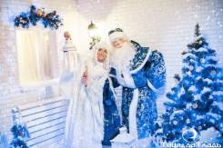 Дед Мороз и Снегурочка на дом!