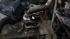 Suzuki Kei. F6A ����