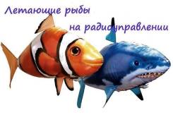 Летающие рыбы.