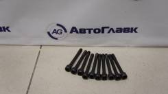 Болт головки блока цилиндров. Nissan: Bluebird, Wingroad, Primera Camino, Serena, Presea, Avenir, Primera, Pulsar, Almera, Sunny, Bluebird Sylphy, Tin...