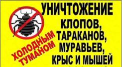 Профессиональное уничтожение тараканов, клопов и др. вредителей.