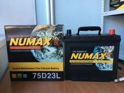 Numax. 65��.�., ��������, ������������ ����� ����