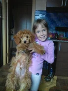 ������. ����