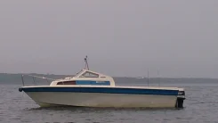 Tohatsu. 1996 ���, ����� 7,50��., ��������� ���������, 173,00��.�., ������ ����