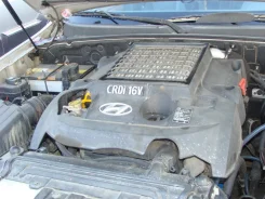 Hyundai Terracan ����
