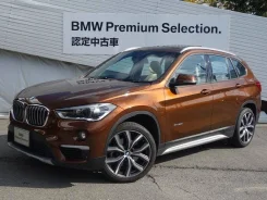 BMW X1. �������, 4wd, 2.0, ������, 24 000����. ��, �/�. ��� �����