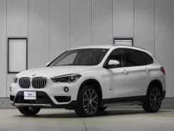 BMW X1. �������, 4wd, 2.0, ������, 18 000����. ��, �/�. ��� ����� �� ������������ ����