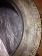 Toyo M109. ������, �/�, ����� 5 % ����
