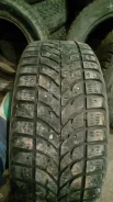 Bridgestone Winter Radial WT-17. ������, ����������, �/�, ����� 70 % ����