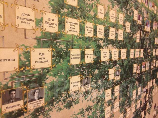 Екатерина дашкова семейное древо. Генеалог за работой. Генеалогическое агентство. Семейный архив. Генеалогическое агентство.