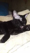 ������. ����