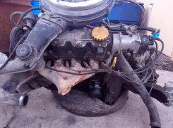 Opel Kadett. 503, 503 ����
