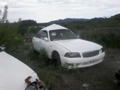 Nissan Leopard. Y33600364 ����