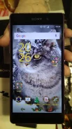 Sony Xperia Z2. �/�