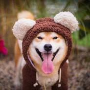 Кофты. Под заказ