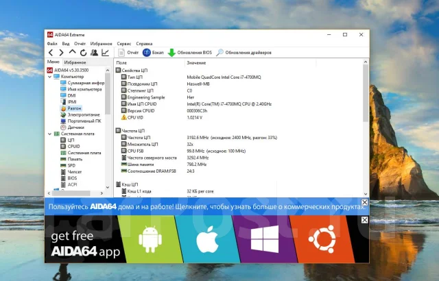DNS Gamer. 17.3", 3 300����, ��� 8 ��, ���� 1 000���, WiFi: 1, Bluetooth: 1, ����������� �� 3��. ����