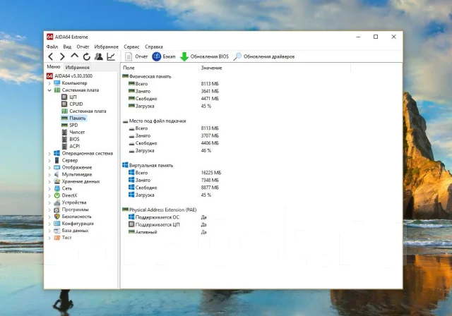 DNS Gamer. 17.3", 3 300����, ��� 8 ��, ���� 1 000���, WiFi: 1, Bluetooth: 1, ����������� �� 3��. ����