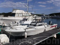 Yamaha UF-23. 1989 ���, ����� 7��., ��������� ���������, 89��.�., ������. ��� ����� �� ������������ ����