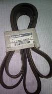 Ремень. Nissan: Teana, X-Trail, Bluebird Sylphy, Presage, Altima, Murano, Primera Двигатели: QR20DE, QR25DE, QR20DD, QR25DD