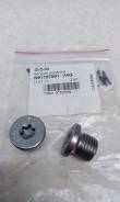 Пробка поддона сливная. Volkswagen: Passat, Jetta, Scirocco, Sharan, Tiguan, Amarok, Passat CC, Beetle, Eos, Transporter, Golf Audi: A6 allroad quattr...