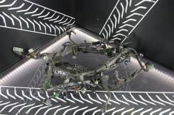 Проводка двигателя Honda