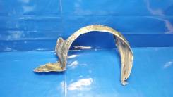 Подкрылок. Mazda Training Car, BJ5P Mazda Familia, BJ3P, BJ5P, BJ5W, BJ8W, BJEP, BJFP, BJFW, YR46U15, YR46U35, ZR16U65, ZR16U85, ZR16UX5