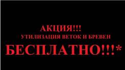 Спилить дерево. Срубить дерево. Санитарная обрезка деревьев. Валка.