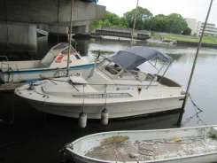Fjord. 1995 ���, ����� 5,84��., ��������� ������������, 110��.�., ������. ��� ����� �� ������������ ����