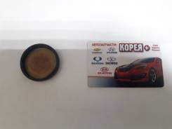 Заглушка распредвала. Hyundai: Matrix, ix35, Excel, Grandeur, Getz, Dynasty, Lavita, Click, Sonata, Accent, Elantra, Equus, Avante, Coupe, Trajet, Ter...