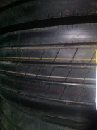 Annaite. �����������, 2024 ���, ����� ����