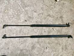 Амортизатор капота. Lexus: GS350, GS460, GS430, GS300, GS450h Двигатели: 1URFE, 1URFSE, 2GRFSE, 3GRFE, 3GRFSE, 3UZFE