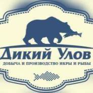 ��������. ��� ������������ ������ "����". ����������� ���� ����