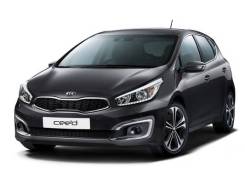 Kia Ceed ����