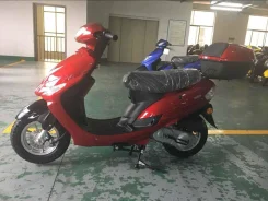 GES. 49����. ��., ��������, ��� ���, ��� ������� ����