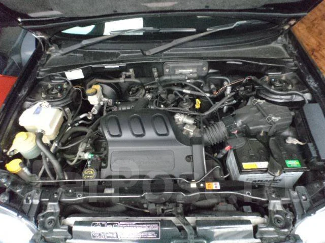 Ford Escape ����