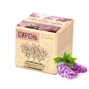 Сирень.