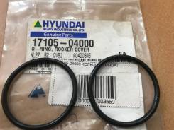 Кольца уплотнительные. Kia Granbird Hyundai Universe Hyundai HD Hyundai Trago Двигатели: D6AC, D6CA, D6CB38, D6CC, D6CD, D6HA, C6AC, C6AE, C6AF, D6CC3...