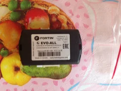 Fortin ����