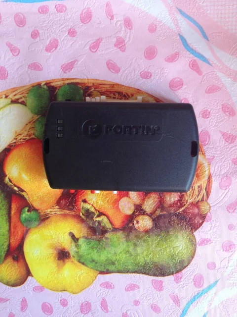Fortin ����